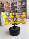 Ducks
