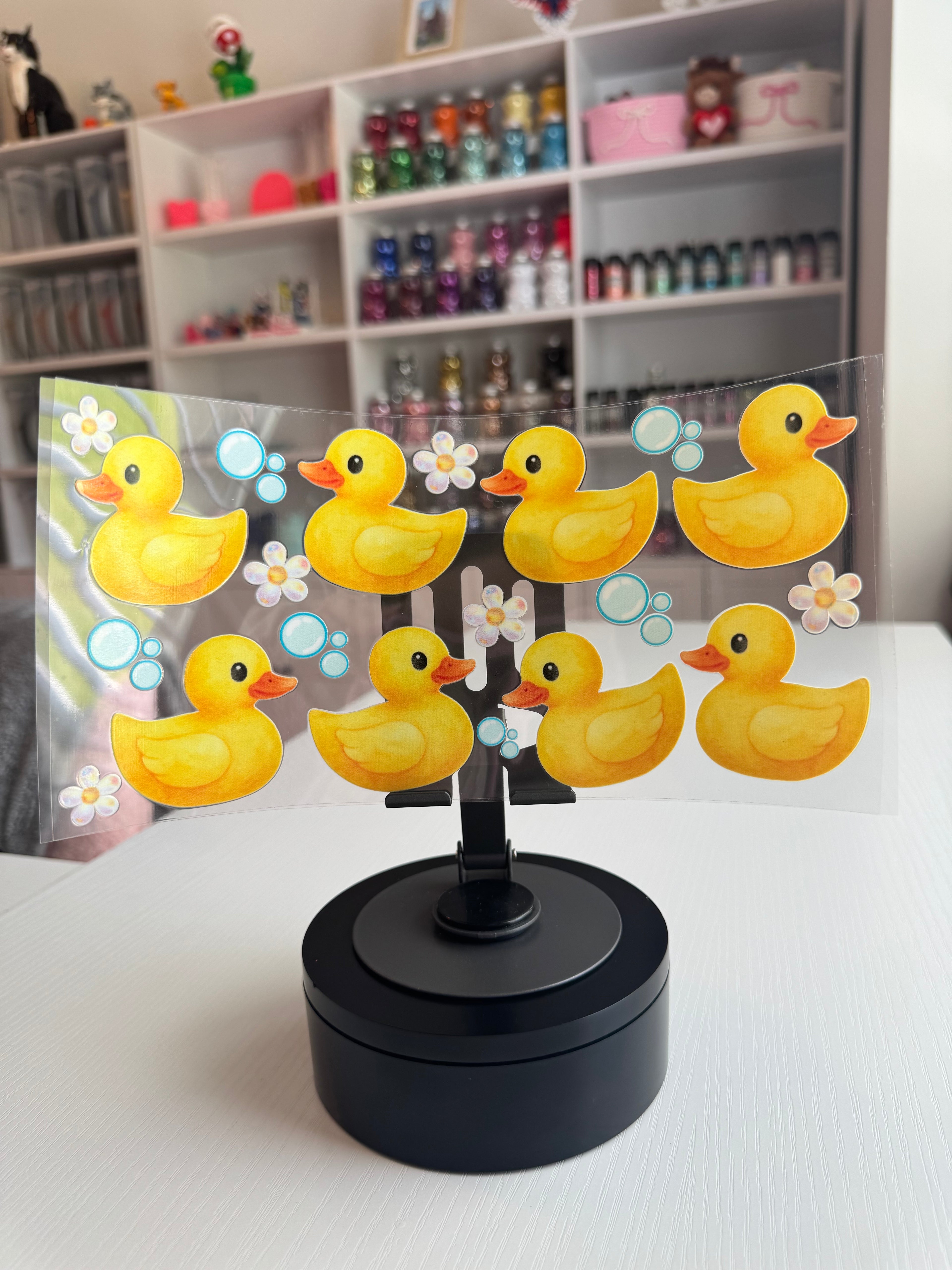 Ducks