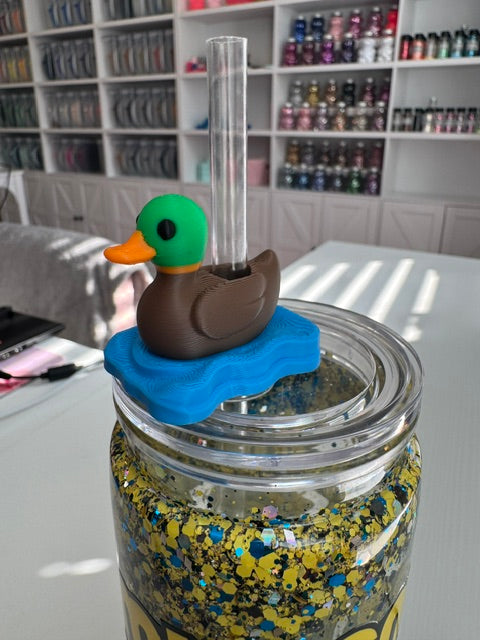 Duck on water